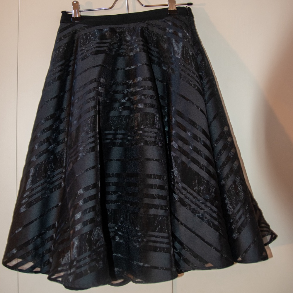 Cameo A-Line Skirt With Sheer Chevron Stripes